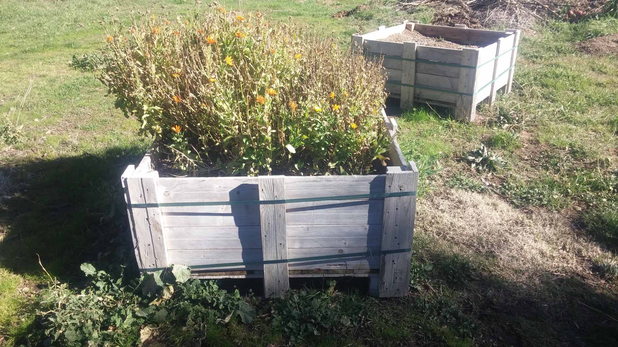 Wood Crate Garden Bed Design