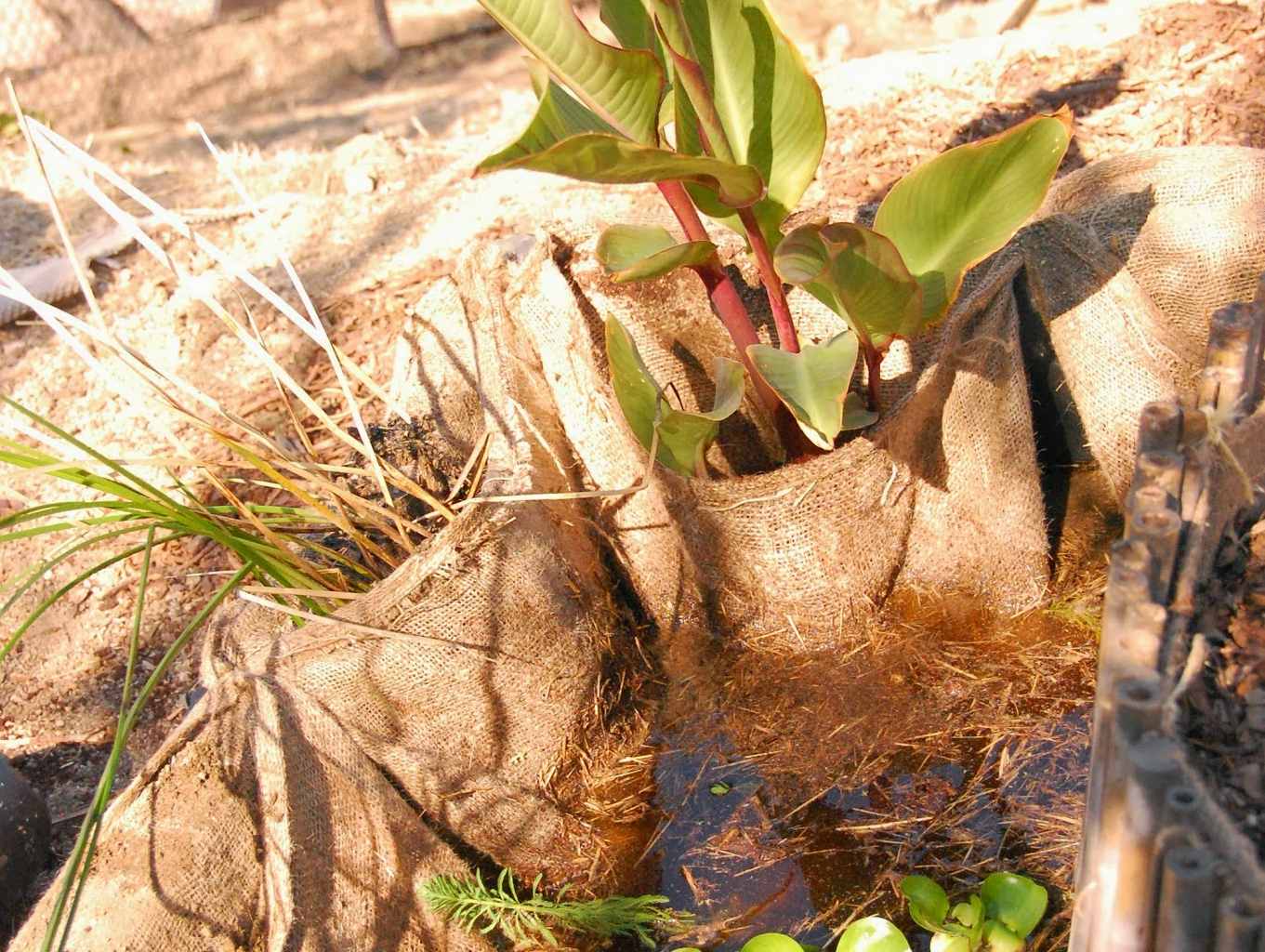 Wood Framed EPDM Bamboo Burlap Chinampa Aquaculture Island Water Garden Burlap Plant Pouches 01