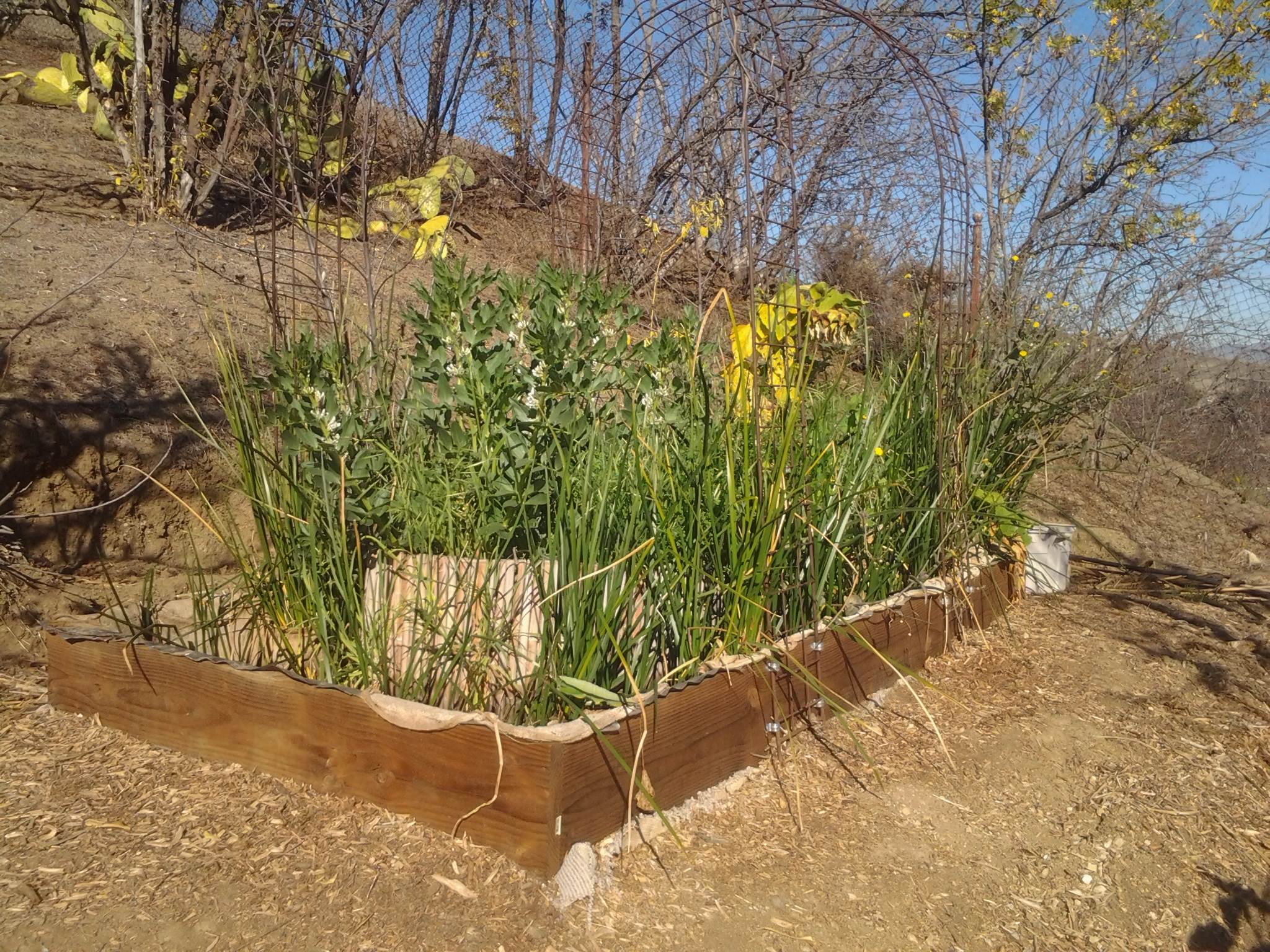 Wood Framed EPDM Bamboo Burlap Chinampa Aquaculture Island Water GardenHyper Production 05